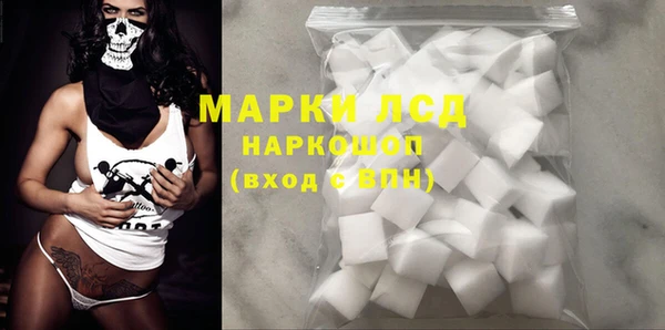 прущий лед Алзамай