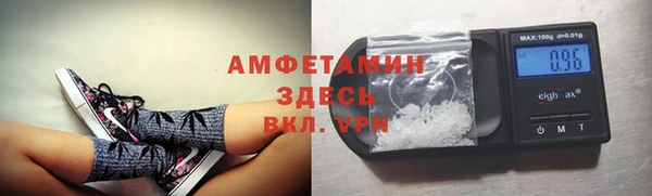 хмурый Алексин