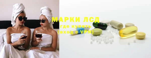 хмурый Алексин
