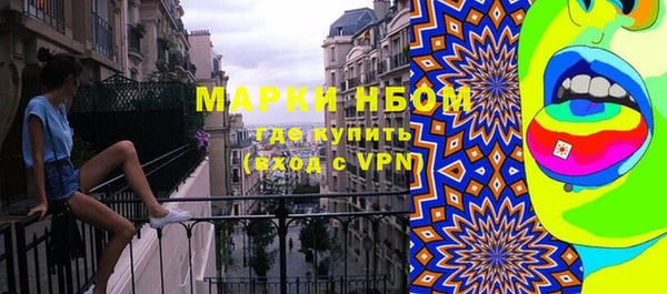 прущий лед Алзамай
