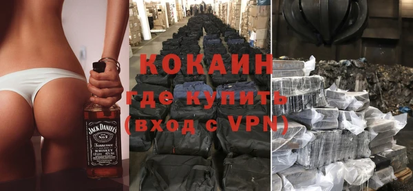 хмурый Алексин