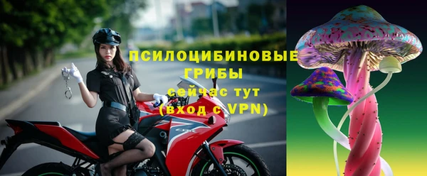 хмурый Алексин