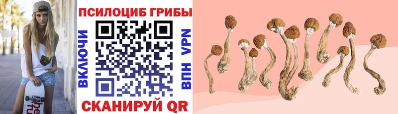 Галлюциногенные грибы мицелий Апатиты